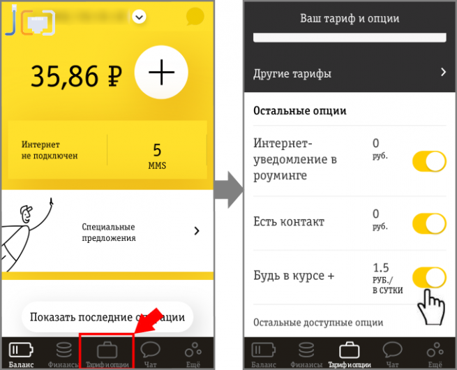 Тарифная опция. Платные подписки Билайн. Как отключить подписку на билайне. Как отключить платные подписки. Мобильное приложение Билайн.